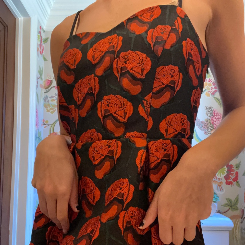 Women’s Romeo and Juliet Rose Dress